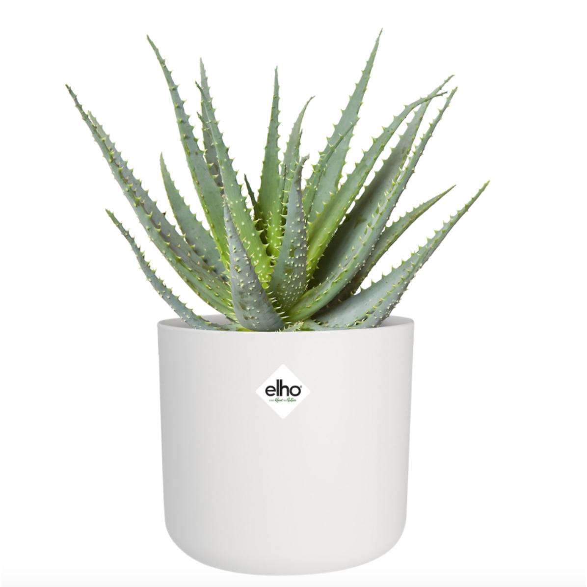 Macetero B.for Soft Round Elho Blanco 18 cm