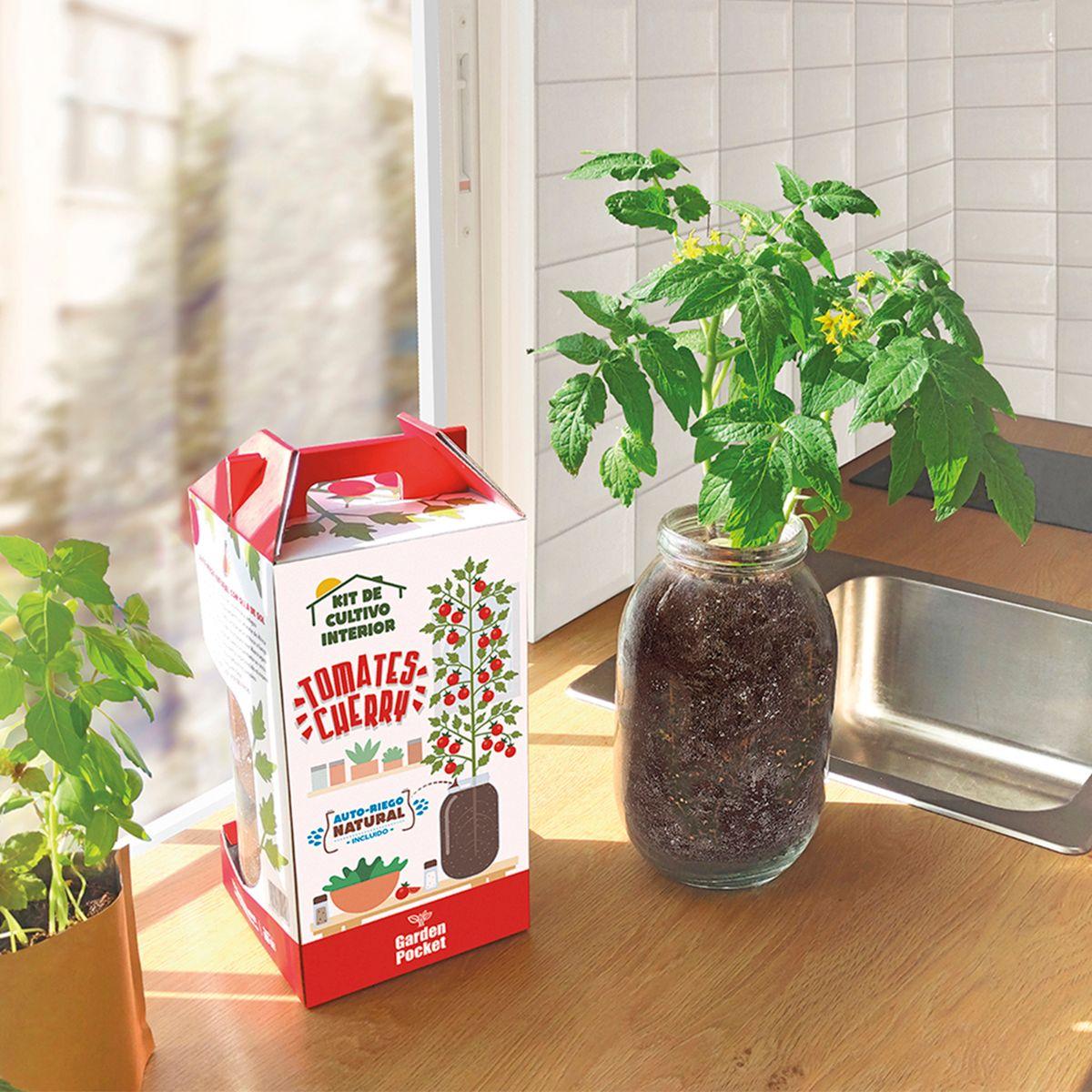 Kit de cultivo interior Tomate Cherry