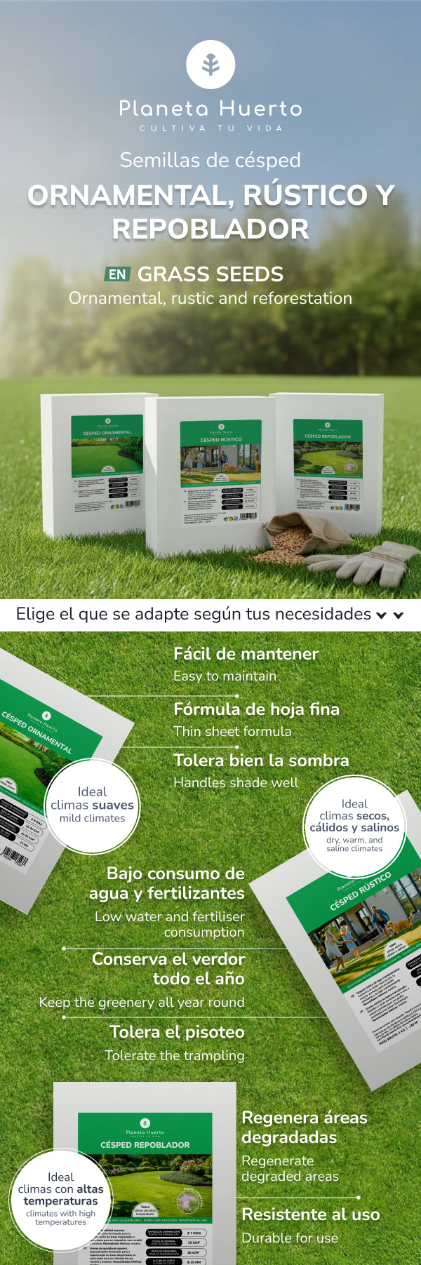 Graines de gazon de repeuplement Planeta Huerto 1 kg