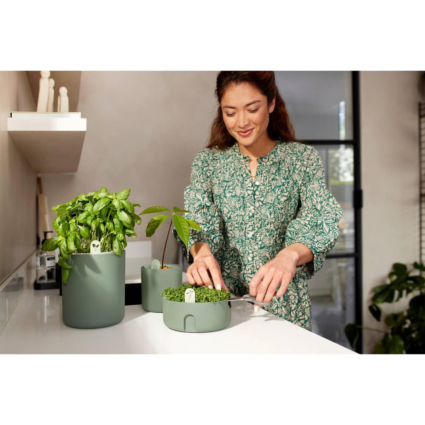 Germinador Magic Microgreens Elho Verde