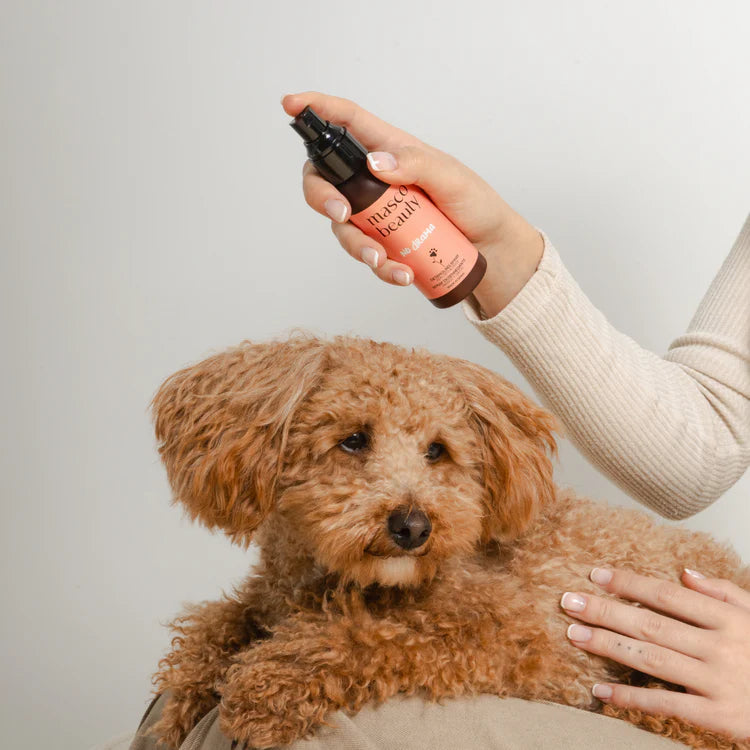 Démêlant en spray pour chiens Masco Beauty 100 ml