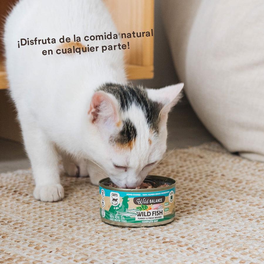 Pack 6x Lata de Pescado y Pavo BARF para gatos 120 g Wild Balance + Regalo: Tapa reutilizable para latas, Wild Balance