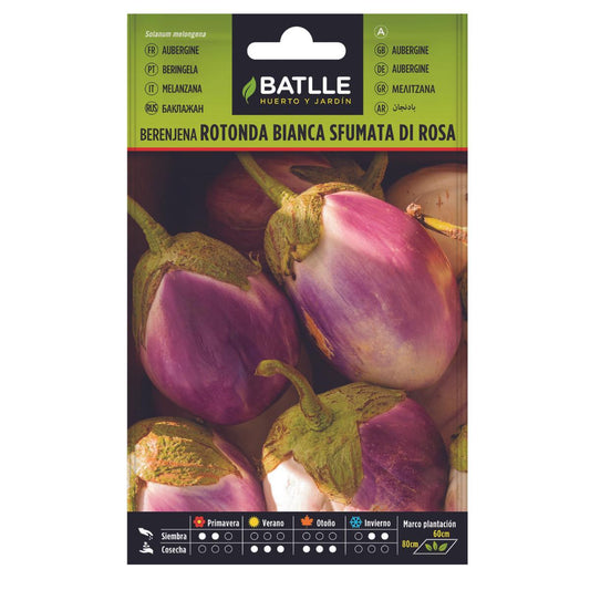 Semillas de Berenjena Rotonda Bianca Sfumata di Rosa Batlle