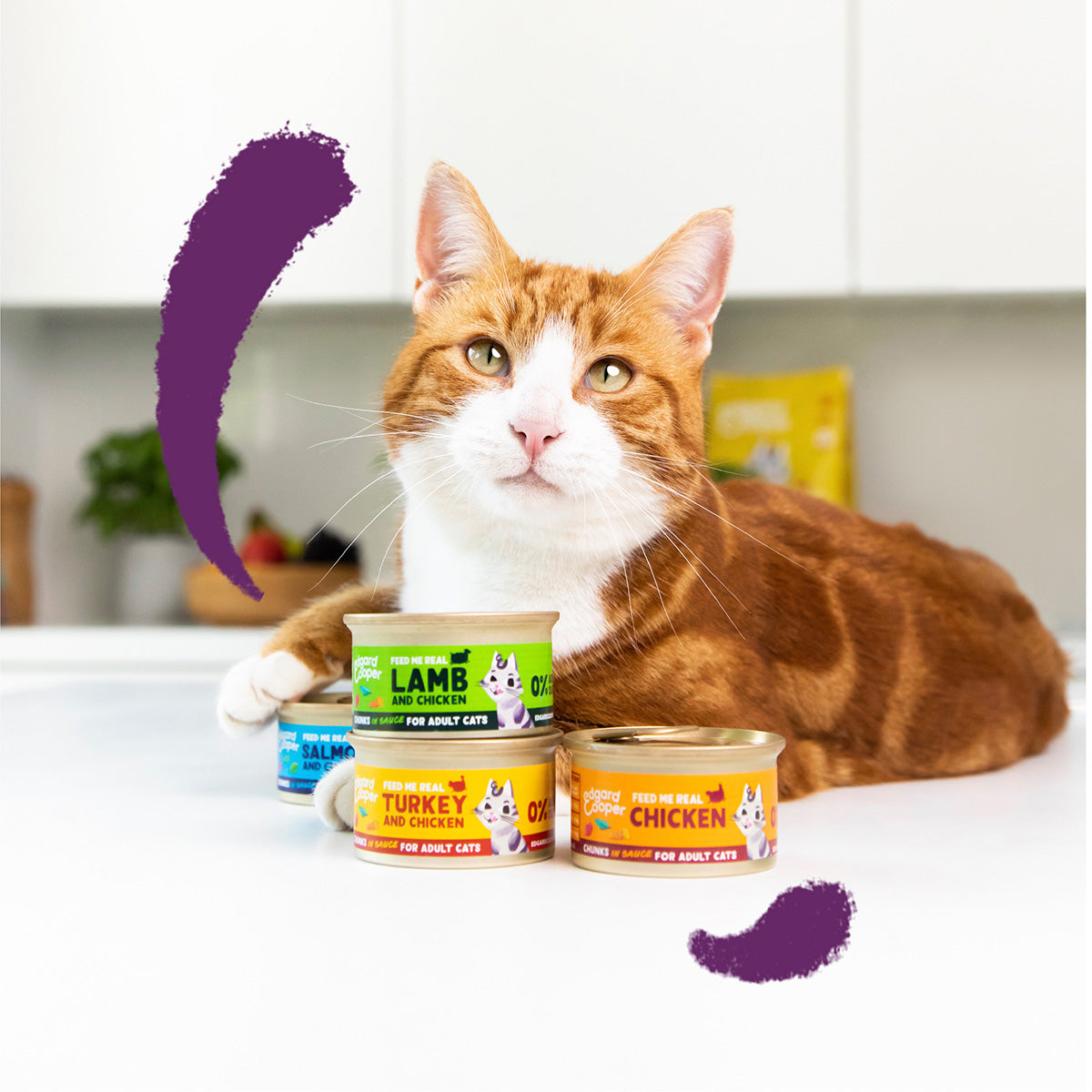 Comida húmeda gatos en salsa Trocitos de Salmón y Pollo Edgard & Cooper 85 g