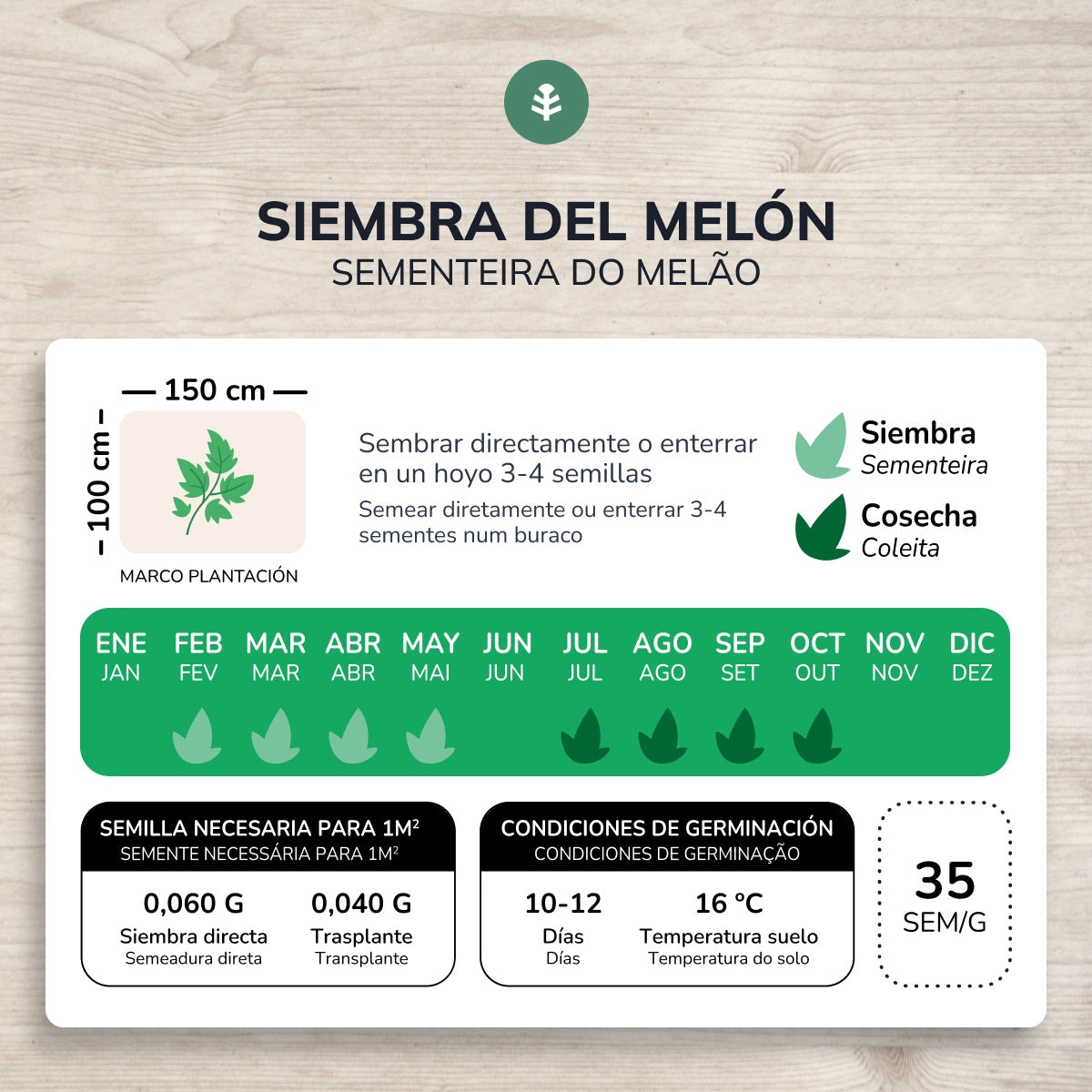 Semillas de Melón piel de sapo ecológicas Planeta Huerto