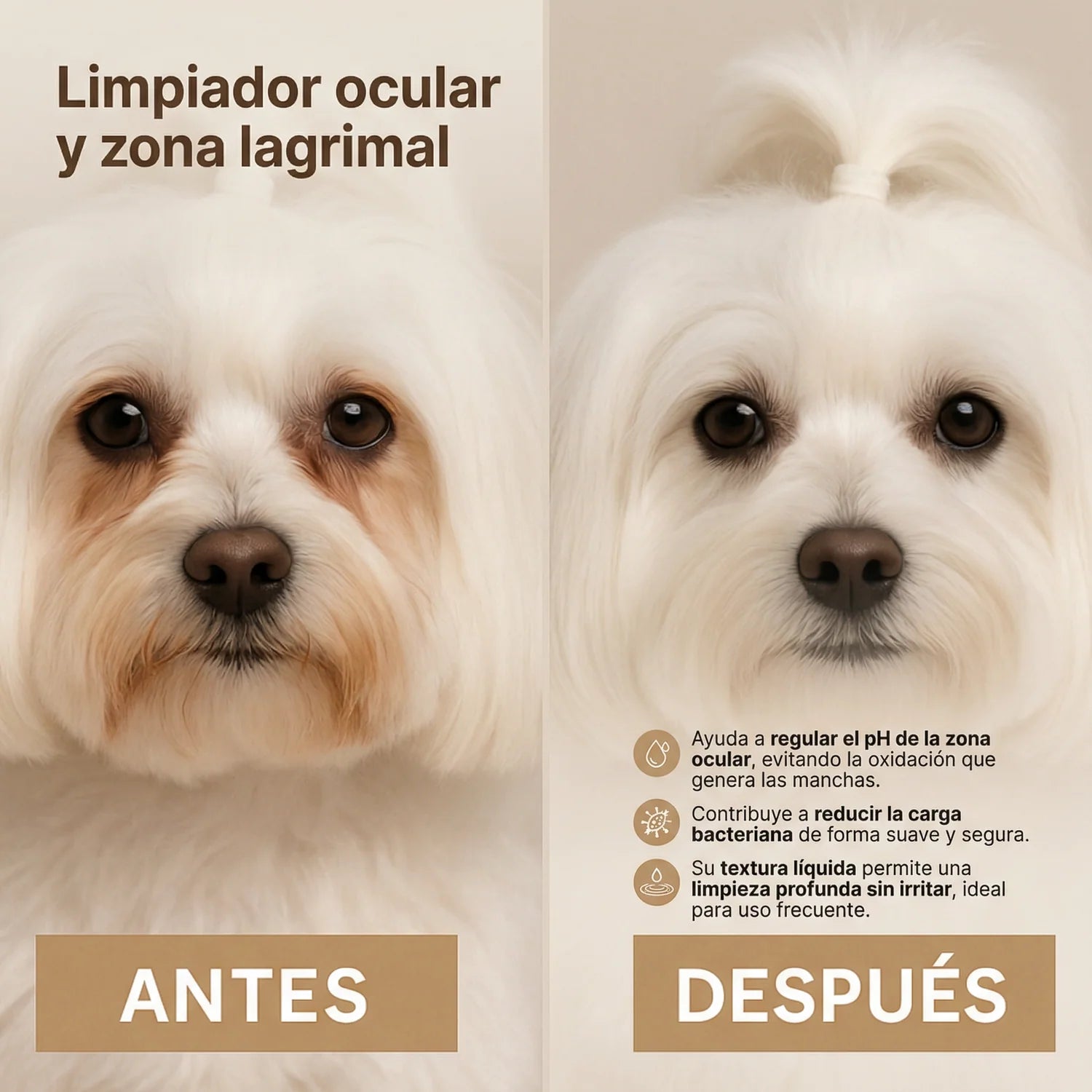 Nettoyant oculaire pour chiens Masco Beauty 30 ml