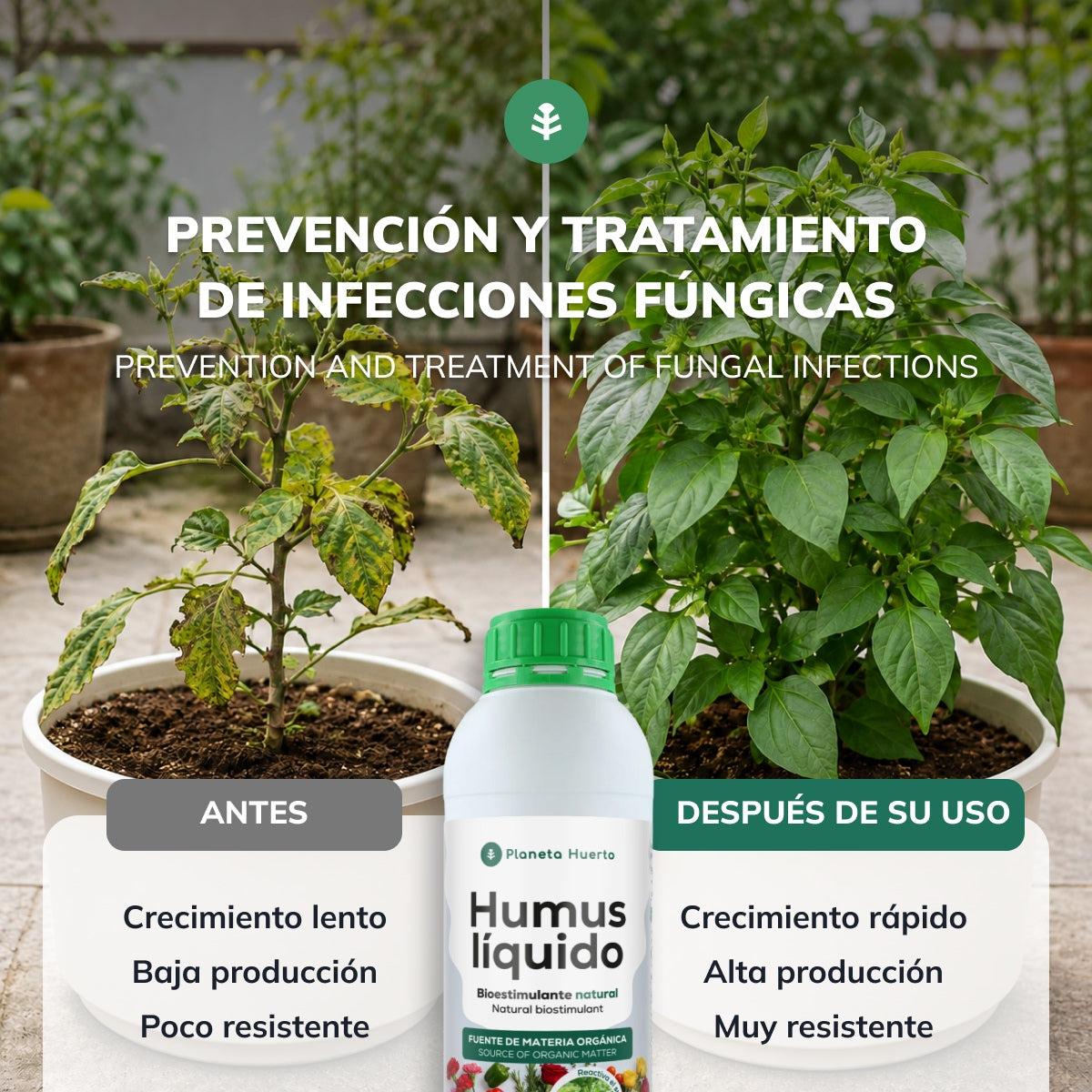 Humus Liquide Biostimulant Naturel 1L Planeta Huerto