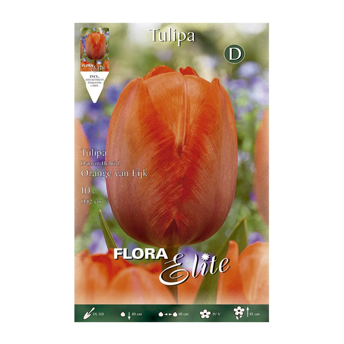 Bulbos Tulipán naranja 10 uds
