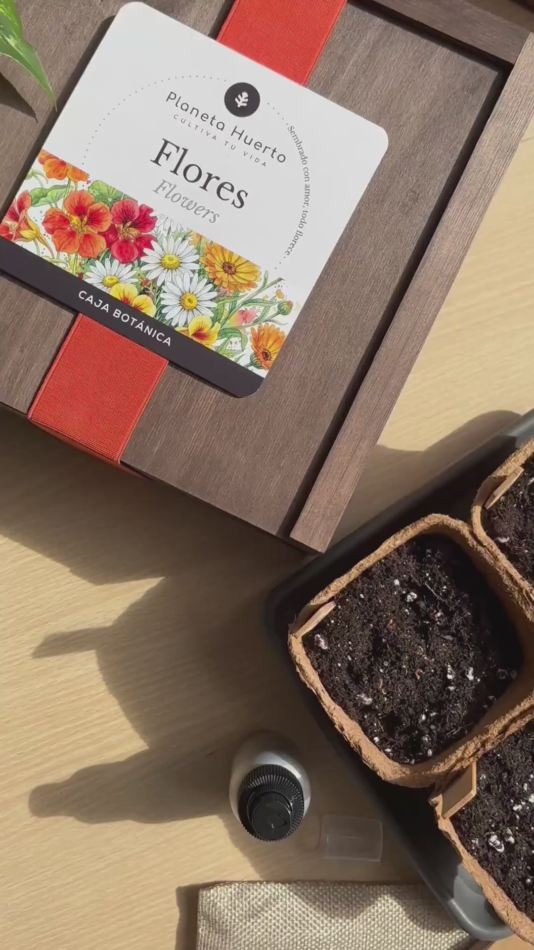 Kit de Cultivo de Girasol en Caja de Madera – Regalo Original Planeta Huerto
