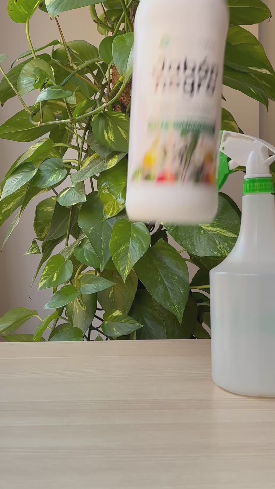 Savon potassique noir Planeta Huerto 5 L