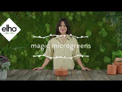 Germinateur Magic Microgreens Elho Vert