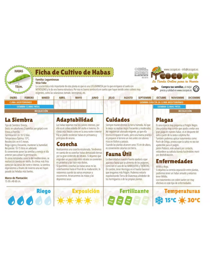 Graines de fèves douces sélectionnées Acualonga 100 g Batlle